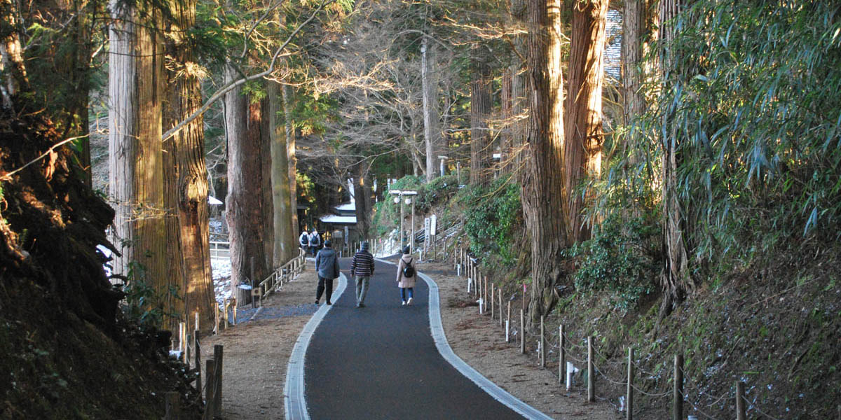 Tohoku Sendai Forest Bathing, Wellness Scenic Matsushima