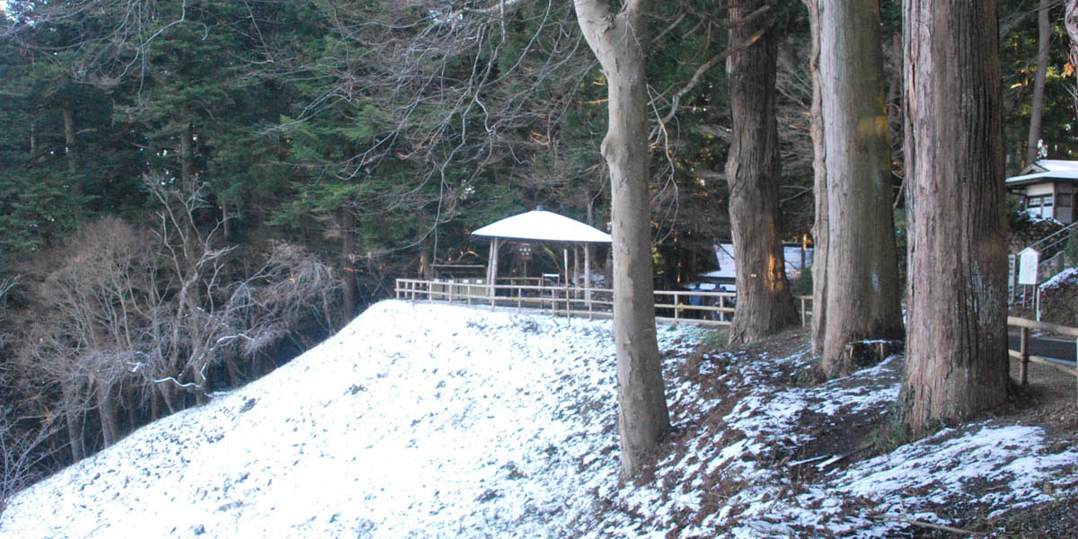 Tohoku Sendai Forest Bathing, Wellness Scenic Matsushima